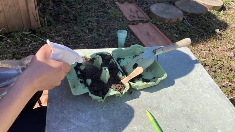 Activité pour enfant semi Le Jardin Qui Nourrit