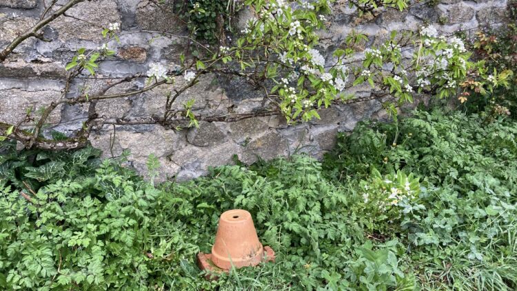 Le Jardin qui Nourrit Bâches protection gel