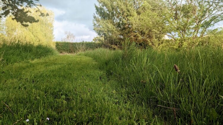 Tonte différenciée